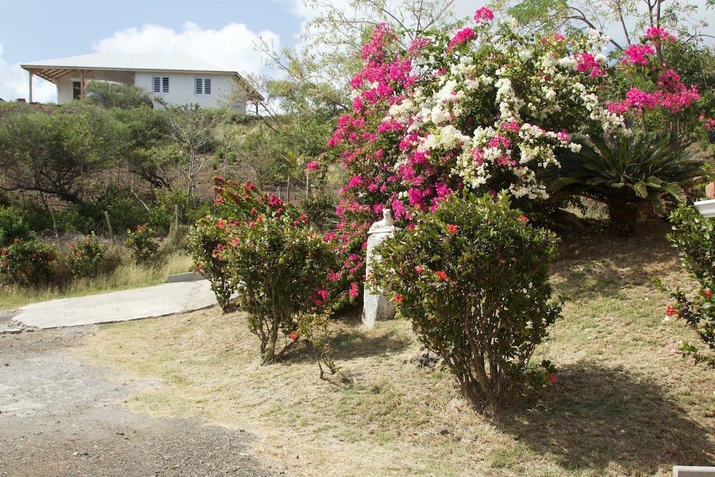 Appartement Vacances Goyave Cap Chevalier Exteriör bild