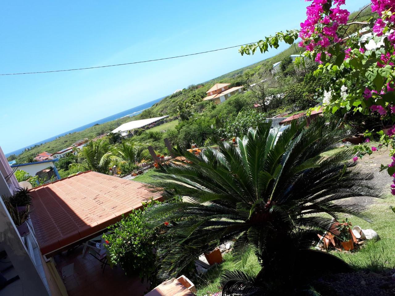 Appartement Vacances Goyave Cap Chevalier Exteriör bild